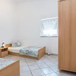 Delic Pejic Apartament Vir