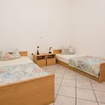 Apartament Delic Pejic Vir